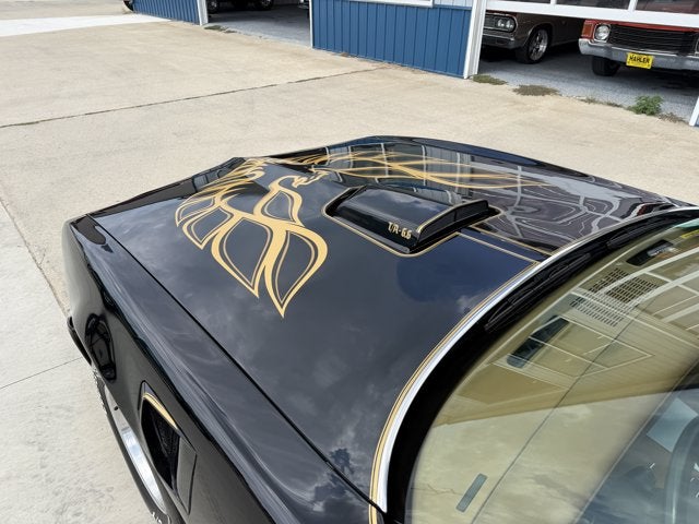 1978 Pontiac Firebird Trans AM