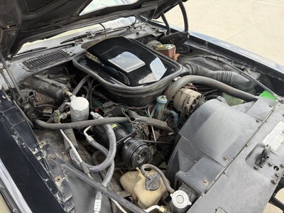 1978 Pontiac Firebird Trans AM
