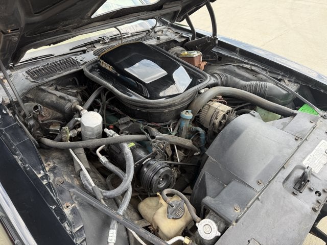 1978 Pontiac Firebird Trans AM