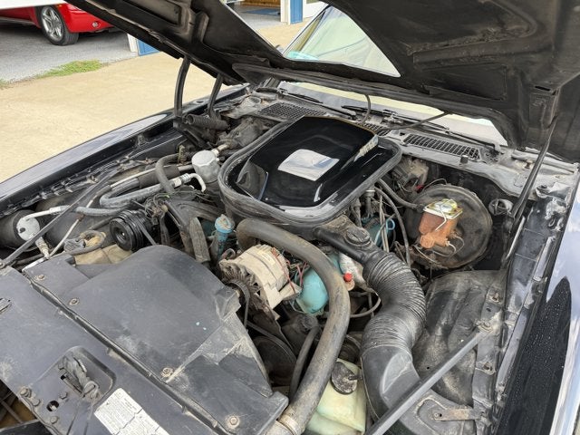 1978 Pontiac Firebird Trans AM