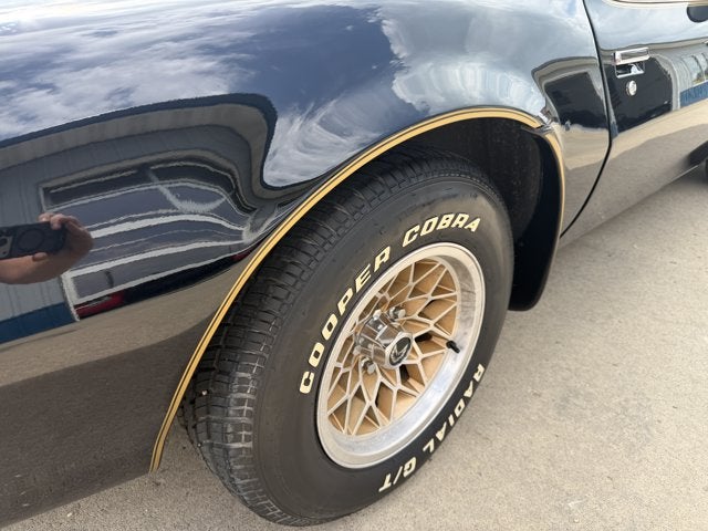 1978 Pontiac Firebird Trans AM